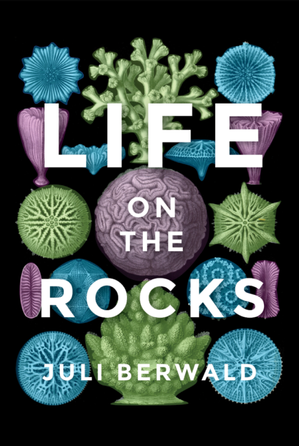 Juli Berwald book about corals